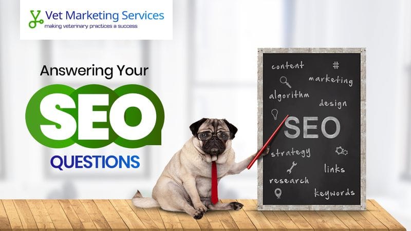 Answering Your SEO Questions Answering Your SEO Questions